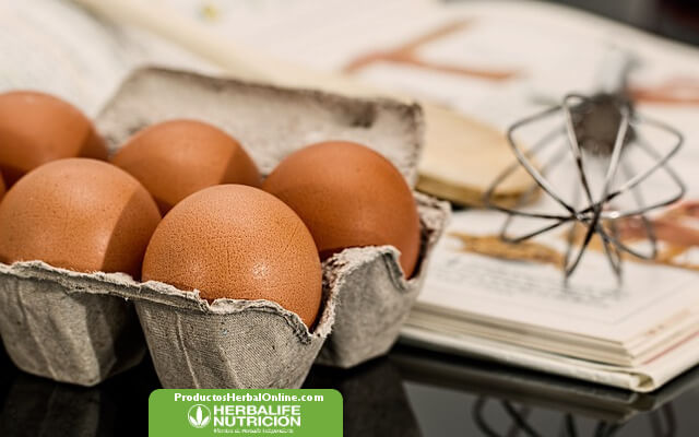 Procesos tecnologicos en alimentos